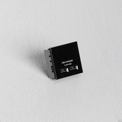 Módulo de soquetes USB duplos para placa Euro preta padrão britânico