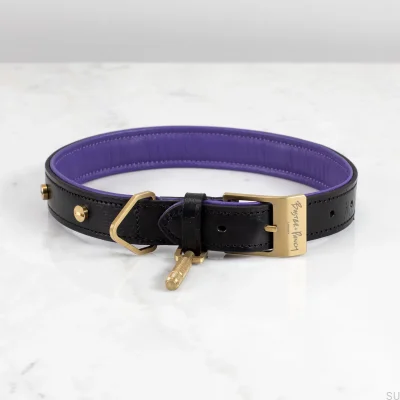 Coleira de cachorro XL de couro dourado
