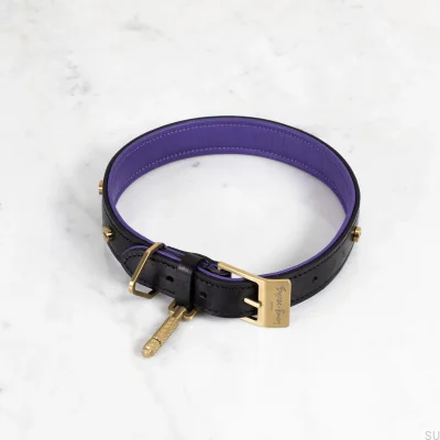 Coleira de cachorro de couro dourado M