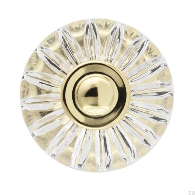 Botão para móveis H119 Plástico Ouro