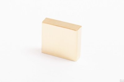 Clean Cut 22 Alça para móveis em latão polido sem pintura