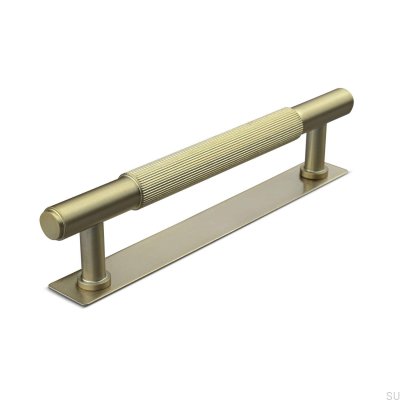 Puxador de móvel oblongo Salo Stripe 128 em ouro escovado