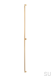 05831178L291_ARPA_WEB.jpg