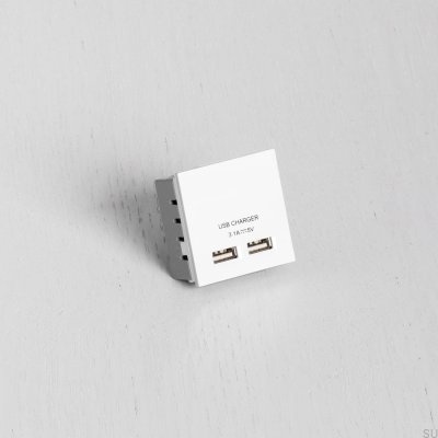 Módulo de soquetes USB duplos para placa europeia branca padrão britânico