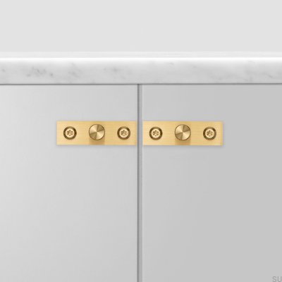 Puxador de móvel com arruela Linear Plate 12 em latão (conjunto)