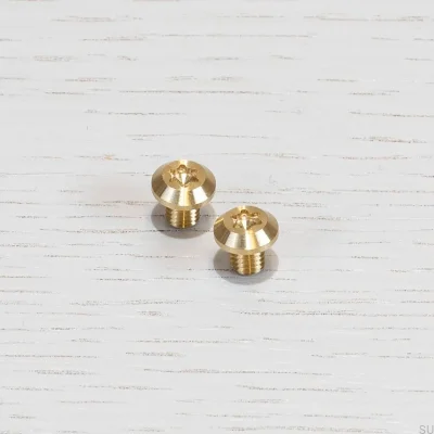 Parafuso Torx Linear de Latão com Cabo Longo