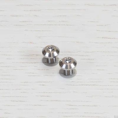 Parafuso Torx Linear Prateado com Cabo Longo