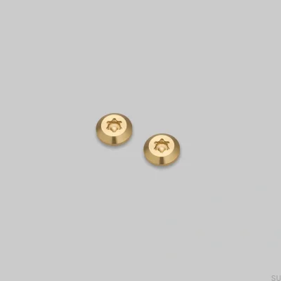 Parafusos decorativos para a moldura Detalhe Linear em Latão